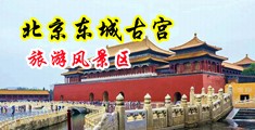 大乳动漫美女强奸视频无遮挡免费网站中国北京-东城古宫旅游风景区